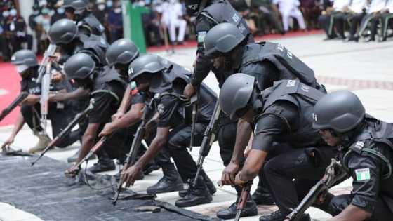 Huge tragedy as bandits kill 323 people, abduct 949 others