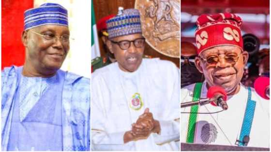 Atiku, Tinubu, Obi: Powerful pastor sends strong warning over Buhari's successor