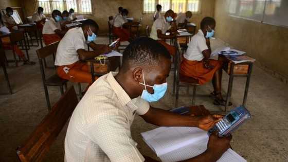 Explainer: Simple steps to check 2021 WAEC examination results online and via text message