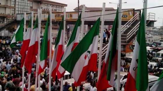 Gagarumin abun al'ajabi ne da mu'ujiza tsira a karkashin mulkin Buhari, PDP