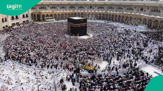 'Kiran Allah': Saudiyya ta fadi ranar da za ta fara ba da bizar aikin Hajjin 2026