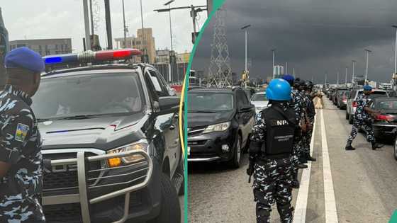 Police begin hunting for defiant officers still serving VIPs, establish special task force