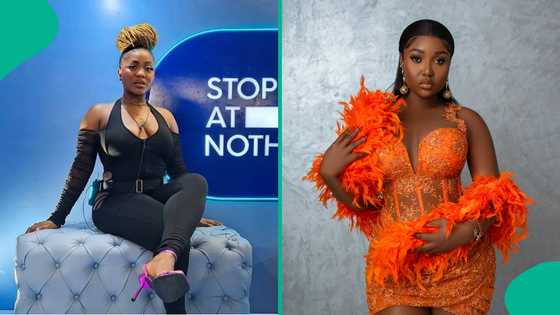 BBNaija Rhuthee revisits fight with Wanni, vows to trigger her: "She never even start"