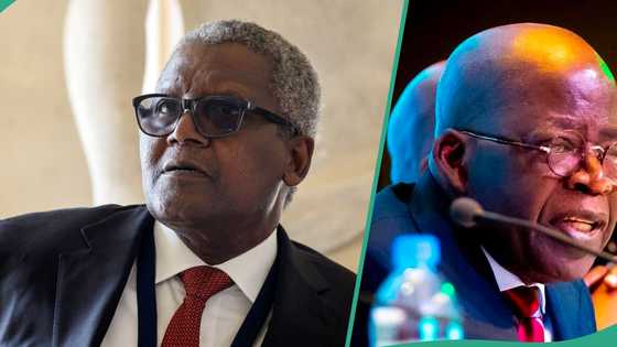 Bayan tsokacin shugaban BUA, Dangote ya fadi matsayarsa kan matakan Tinubu