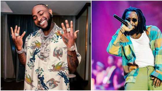 "The industry was cold though": Many react as singer Timaya confesses missing his colleague Davido