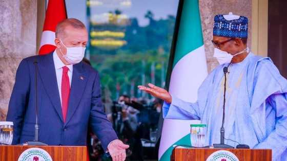 Jerin muhimman abubuwa 7 daga ganawar Buhari da shugaban kasar Turkiyya