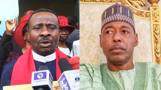 CAN to Zulum: Christians don't engage in terrorism, we know where B'Haram belong