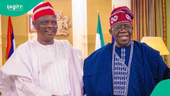 NNPP ta yi tsokaci game da muhimmancin kwankwaso, hadaka da APC