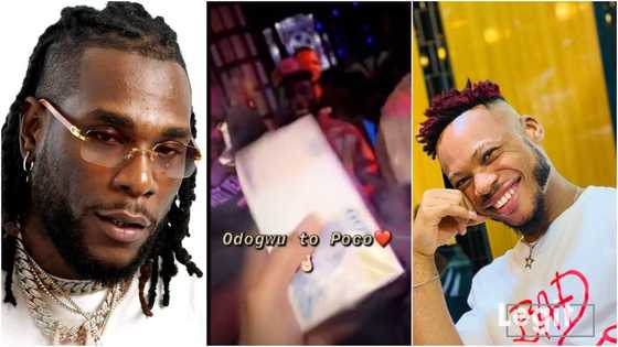 Burna Boy gifts dancer Poco Lee N500k for clubbing with him weeks after giving same sum to N6