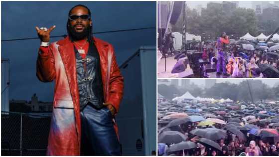Die-hard 'oyinbo' fans storm venue with umbrellas in New York as Adekunle Gold performs under heavy rainfall
