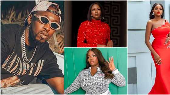 You disgraced yourselves: Singer Orezi tells Ka3na and Dorathy, asks for price of Wathoni's outfit