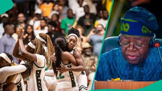 Nigerians alert Tinubu after D'Tigress won 2025 AfroBasket: "Give them their $100k"