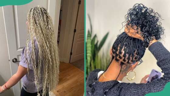 Knotless braids with curls: 30+ ideas to try on hair of any length