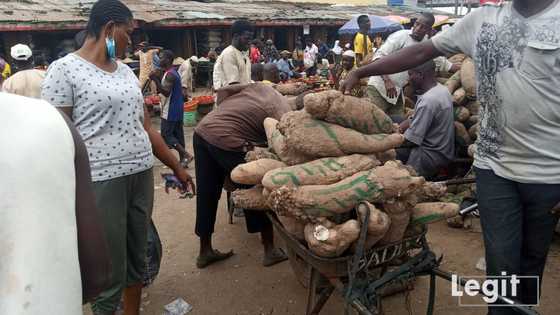 Yam, egusi, beans, 3 other goods in the market whose price has soared by hundred percent