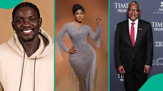 Phyna further clears air on VDM betrayal, explains BTS of her last conversation with critic in video
