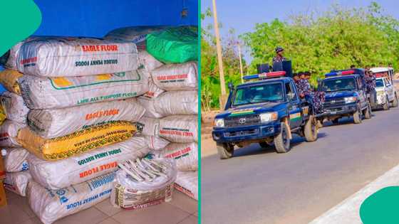 Dubu ta cika: An cafke mutane 3 dauke da kayayyakin hada bama bamai a Daura