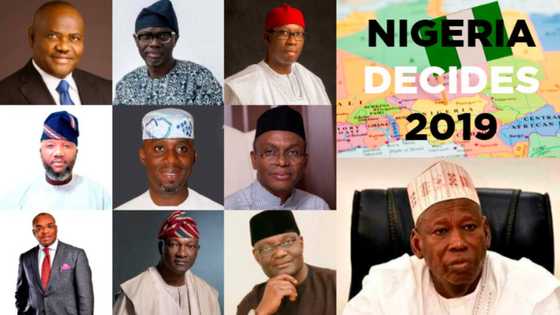 LIVE UPDATES: Kano governorship election declared inconclusive as official collation continues (Day 3)