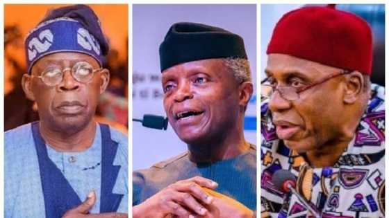 Buhari zai rabawa Tinubu, Osinbajo, da Amaechi gardama a APC kafin zaben fitar da gwani