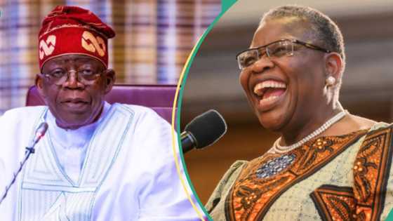 “Nigeria, We Hail Thee”: Why Oby Ezekwesili, others will sing new anthem, FG speaks