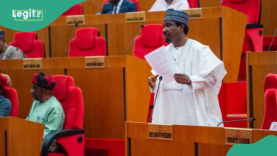 Deputy Senate president mentions new state that should be created, gives reason