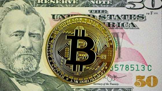 The Top 5 Best Decentralized Exchanges to Invest in this Year