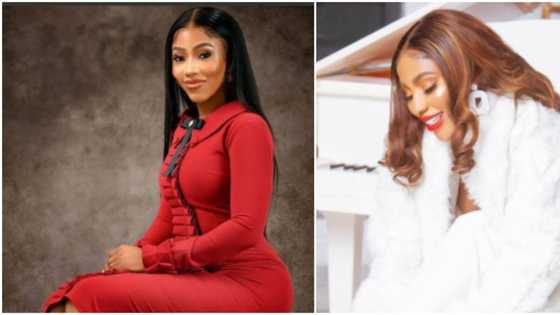 I had a dream I was winning souls: BBNaija's Mercy Eke says she has not partied for 8 days, nor drank alcohol