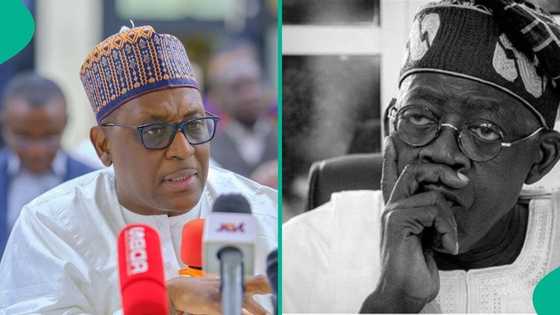 Tinubu’s govt mentions number of doctors who have japa and how much Nigeria has lost over 5 years