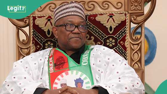 Peter Obi urged to leave Labour Party ahead of 2027 election, reason emerges