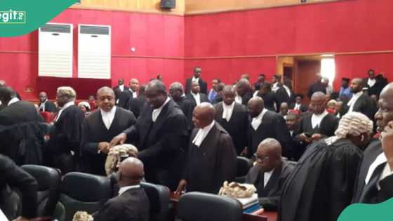 Money ritual: 5 men bag 12 years imprisonment for exhuming human skull