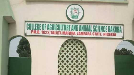 Breaking: Finally, abducted Zamfara agric students, teachers regain freedom