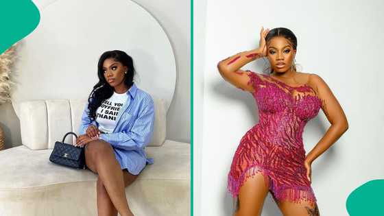 BBNaija's Angel Smith, critic trade words over Abuja Area Mama: “You have no substance, rest"