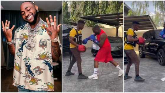 Nobody messes with OBO: Davido goes hard on trainer as he shows off immaculate boxing skills