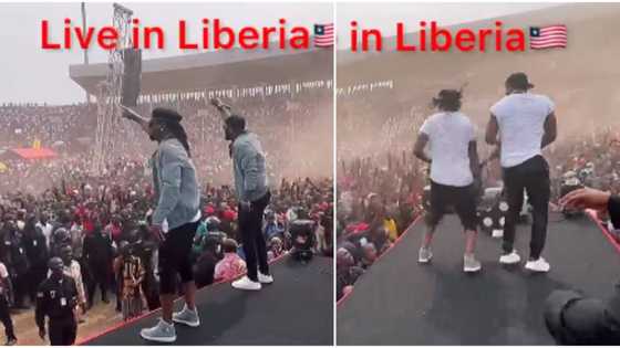 Like we never left: PSquare brag as they almost cause stampede after filling up Liberian stadium, fans scream