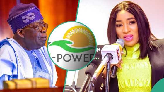 FG to employ 5 million youths in renewed N-Power programme, Tinubu's minister shares details