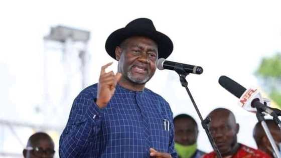 2023 presidency: Influential Senator reveals real reason why he is supporting Bola Tinubu
