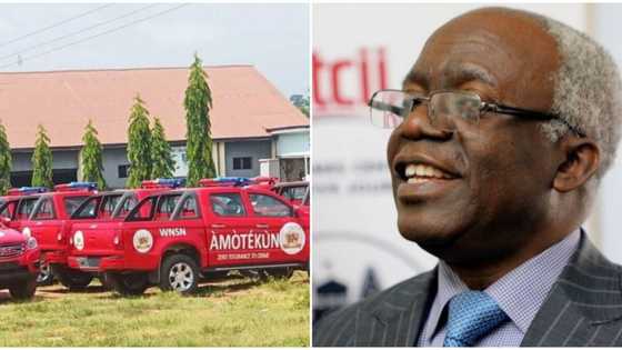 Amotekun: Falana blasts Malami, says he has no right to declare group illegal