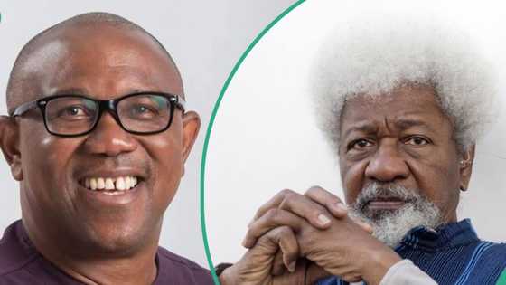 “You're blind to truth”: Labour Party breaks silence on Peter Obi losing 2023 poll, tackles Soyinka