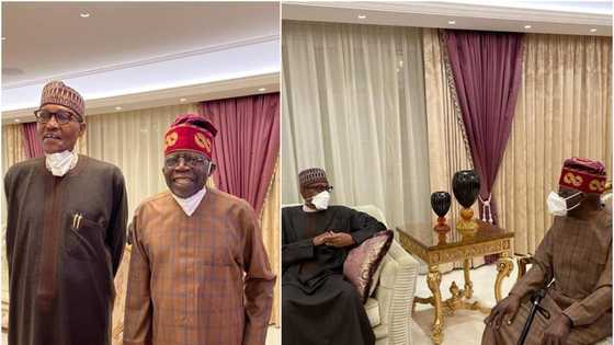 Photos emerge as Buhari pays surprise visit to Tinubu in London