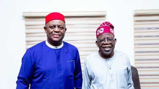 2023: Fani-Kayode meets Tinubu in Abuja, sends powerful message to PDP