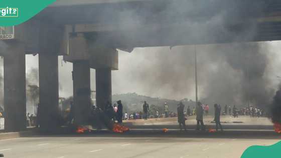 BREAKING: Violence erupts in Kaduna as protesters burn KASTLEA office, loot property