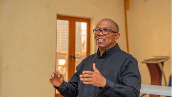 Kotun Sauraren Kararrakin Zabe: Cikakken Jerin Jihohin Da Peter Obi Ke Kalubalantar Sakamakon INEC