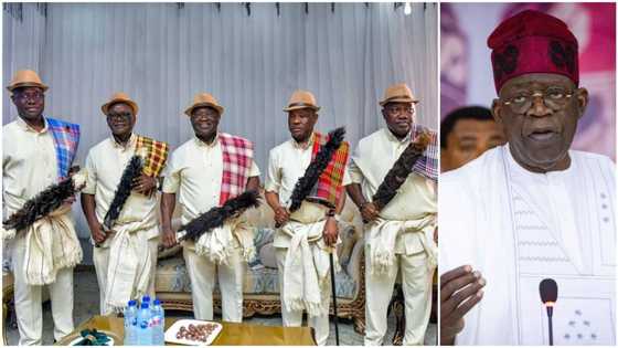 Why Tinubu does not need endorsement of G5 Governors to win in 2023, APC chieftain reveals