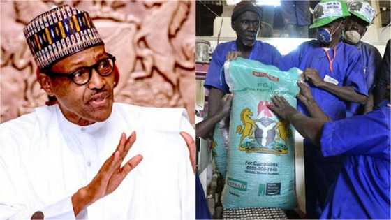 Gwamnatin Buhari ta rage N500 daga farashin takin zamani saboda Coronavirus