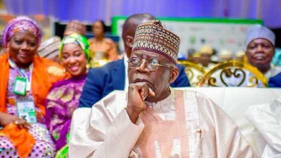 2023 presidency: Amid CBN's naira redesign trouble, Tinubu gets bad news from northern elders