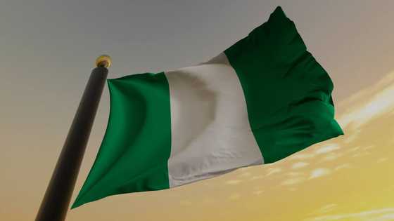 How many local governments are there in the Lagos State of Nigeria?