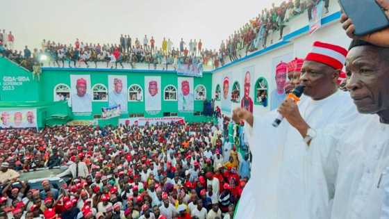 Ta karewa Kwankwaso, babban mai fada a ji a NNPP ya yi murabus, ya fita daga jam'iyar