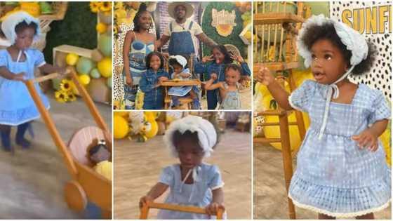 Couple make big statement with 1st birthday celebration of their daughter, share photos online