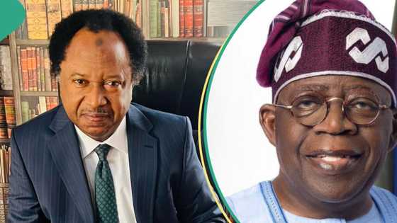 “Not just Tinubu”: Shehu Sani mentions Presidents who tripped, fell in the past