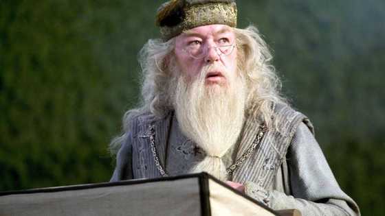 These Dumbledore quotes will help you see the bright side of life