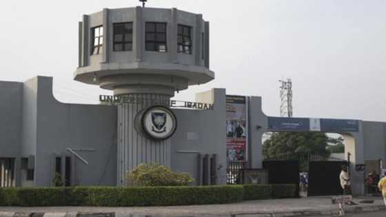 UI's faculty of technology produces 43 first class graduates as NSE inducts 293
